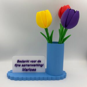 Gelegenheidpotje met 3 tulpen en kaartje